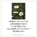 2026년 09월 23일 수요일 미래 정 대문을 오픈 합니다 이미지