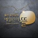 울산중앙중학교 네이버블로그