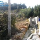 고금면-3 이미지