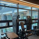 라이프타임 피트니스 이미지