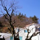 윤동주 유고 보존 정병욱 가옥 이미지