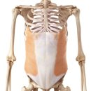 광산-월곡-광산-58 이미지