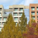 풍부한 수채화 기법을 활용하여 그리는 어반스케치(중급) | 광산구성인미술,광산구수채화, 수완성인미술, 첨단...성인미술 ,광산구어반스케치 ,첨단오아우화실,첨단...