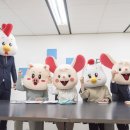 강화상사 이미지