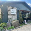 섬강로R 이미지