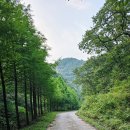 선암스테이 이미지