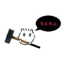 낯꽃