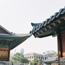 후지필름으로 보는 덕수궁 - 니콘 fm2 그리고 후지필름 기록용 100 후기