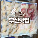 하나로횟집 | 부전시장 모듬회 맛집 부산횟집 부전시장점 재방문 후기