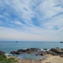 바다소리별채 이미지