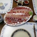 센신 이미지