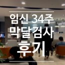 고운여성의원 | 쌍둥이 임신 34주 송도 곽생로여성의원 막달 검사 후기