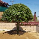 하루정원 이미지