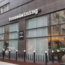 블루시티트리가 이미지