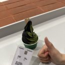 수원-0228 이미지