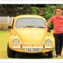 전라북도 특별자치도 고창 청농원 핑크뮬리 이미지