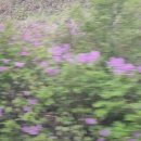 수락산길 이미지