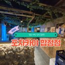 포차카야 | 합정 야장 감성 끝판왕. 분위기, 맛, 감성 다 잡은 포차카야 리얼 후기