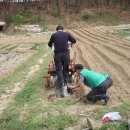 이춘기농장 이미지