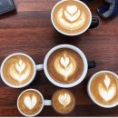 바리스타 첫 걸음 이미지