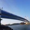 임진모타 이미지