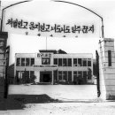 영월세무서 이미지