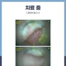 고척원동물의료센터 이미지