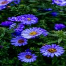 남동중학교 이미지