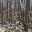 영화마을 이미지