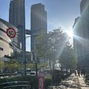 더링크호텔5M | 서울 밝은홀, 더링크호텔 웨딩홀 5층 가든홀 하객후기💖(셔틀버스, 신부대기실, 뷔페)