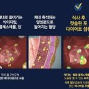 해주식품 이미지