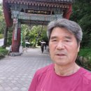 치유의 숲 야영장 | 산음자연휴양림, 치유의 숲, 용문산 용문사, 운계 서원, 북한산교현탐방센터, 용추 헤세의 정원 여행후기