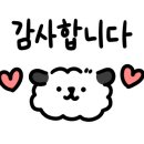 다도 숲으로 민박 이미지