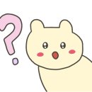 더치홀릭