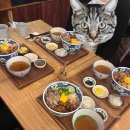사당 일식 덮밥 맛집 <무로> 후기