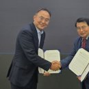 케이메디 코리아 이미지