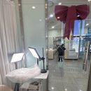 오니아트