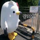 한산도 제승당 이미지