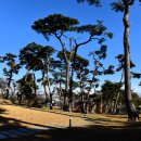 부용로55번길 이미지