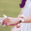 우정목장 이미지