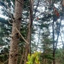 향산유원지 이미지