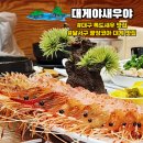 아이러브독도 | 대구 달서구 독도새우 광장코아대게 추천 맛집 대게야새우야 재방문 후기