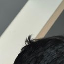 오성6길11 네이버블로그