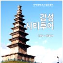 수안보온천랜드 | 수안보온천역 충주감성시티투어 전국에서 예약하는 이유?