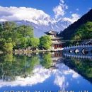 뉴행복공인중개사사무소 이미지