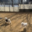 우다닷 네이버블로그
