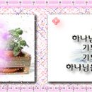 하이쉬 이미지