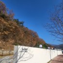 인포레(In Fore)