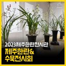 제주한란전시관 | 2023 제주한란전시관 &#39;제주한란&amp;수묵전시회&#39;를 다녀왔어요!