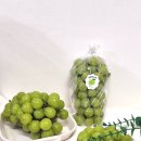 10월 제철과일 샤인머스켓 2kg 연화봉농원 경산 샤인머스켓 농장 직거래 후기